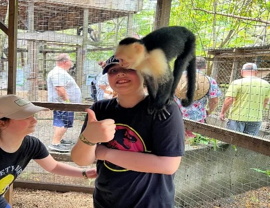 Monkey encounter
