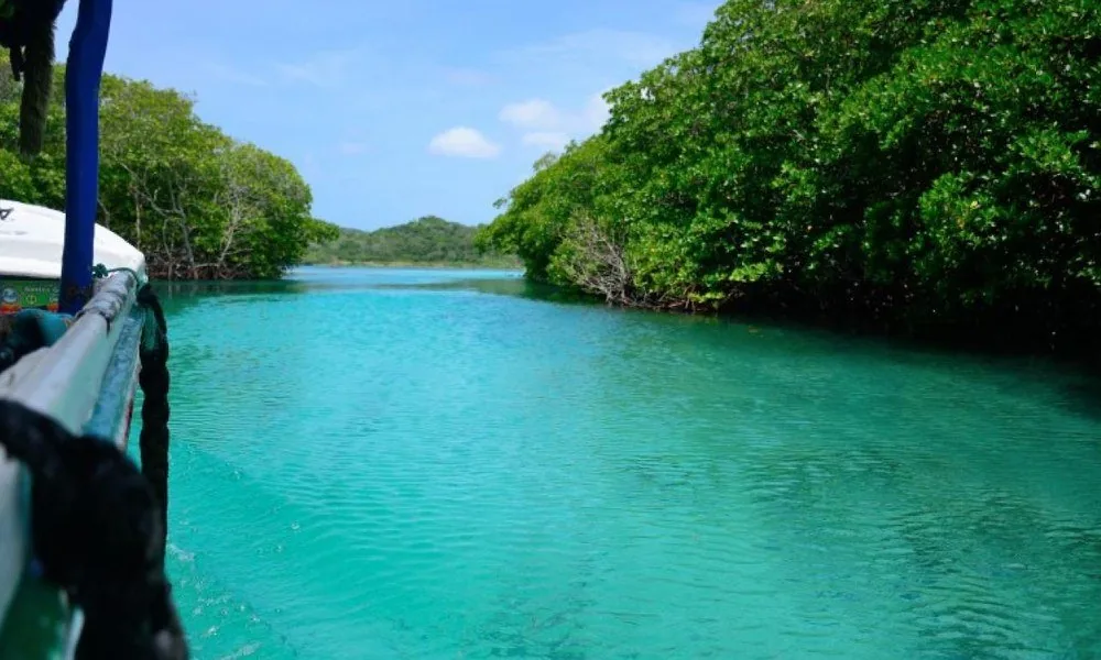 East End Mangroves & Garifuna Culture