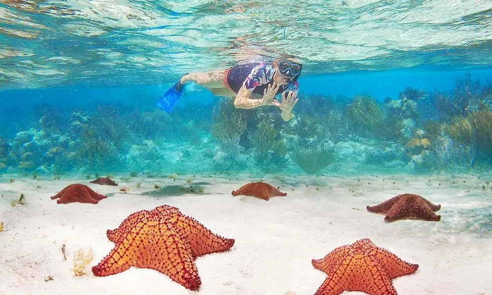 Snorkeling